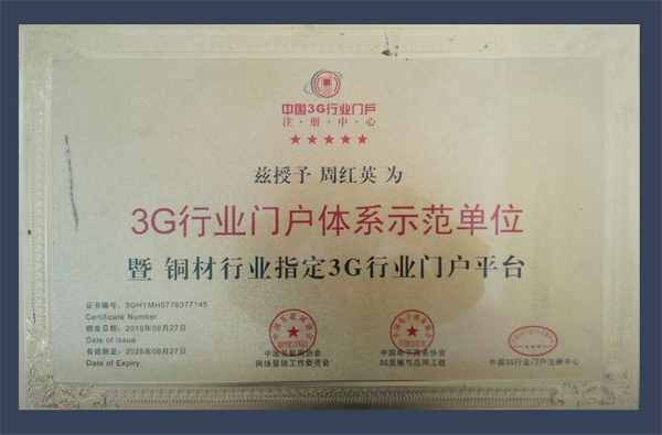 英华荣誉证书-3G行业门户体系示范单位